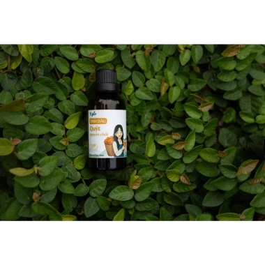 Tinh Dầu Quýt Nguyên Chất EPIS 5ml Hương Thơm Thanh Mát, Dưỡng Tóc, Tắm Giảm Stress, Giảm Say Tàu Xe – 59.000 VND