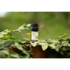 Tinh Dầu Quýt Nguyên Chất EPIS 5ml Hương Thơm Thanh Mát, Dưỡng Tóc, Tắm Giảm Stress, Giảm Say Tàu Xe – 59.000 VND 6