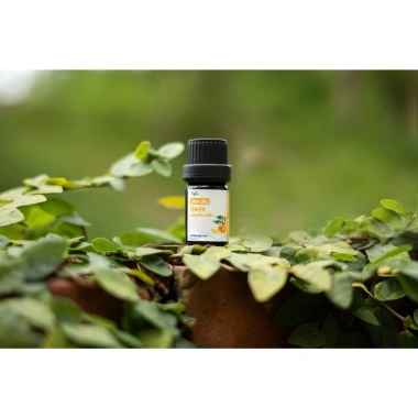 Tinh Dầu Quýt Nguyên Chất EPIS 5ml Hương Thơm Thanh Mát, Dưỡng Tóc, Tắm Giảm Stress, Giảm Say Tàu Xe – 59.000 VND 6 Tinh Dầu Quýt Nguyên Chất EPIS 5ml Hương Thơm Thanh Mát, Dưỡng Tóc, Tắm Giảm Stress, Giảm Say Tàu Xe – 59.000 VND 6