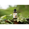 Tinh Dầu Quýt Nguyên Chất EPIS 5ml Hương Thơm Thanh Mát, Dưỡng Tóc, Tắm Giảm Stress, Giảm Say Tàu Xe – 59.000 VND 7