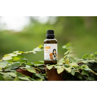 Tinh Dầu Quýt Nguyên Chất EPIS 5ml Hương Thơm Thanh Mát, Dưỡng Tóc, Tắm Giảm Stress, Giảm Say Tàu Xe – 59.000 VND