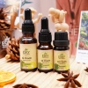 Tinh Dầu Sả Chanh Nguyên Chất ESKY AROMA GARDEN - Xông Phòng Thơm, Đuổi Muỗi 10ml 20ml Giá 52.000 VND 2