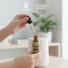 Tinh Dầu Sả Java Nguyên Chất 10ml-20ml - Xông phòng, thông mũi, đuổi muỗi, 79,000 VND 2