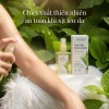 Tinh dầu thiên nhiên Maldala 100ml – Chống muỗi, khử mùi, an toàn da, sả Bạch đàn, chanh Tràm, Melaleuca – 115k 5