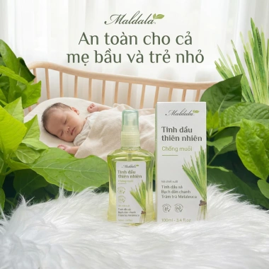 Tinh dầu thiên nhiên Maldala 100ml – Chống muỗi, khử mùi, an toàn da, sả Bạch đàn, chanh Tràm, Melaleuca – 115k 7