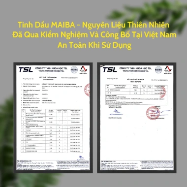 Tinh dầu thơm phòng khách MAIBA 300ml - Hương thiên nhiên, giảm giá 20% chỉ 139.000₫
