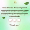 Tinh dầu thơm phòng khách sạn 6 mùi White Tea, Ritz Carlton, Zen Tea, Fressia, Chanel, Sheraton 500ml - 1.213.800đ 7