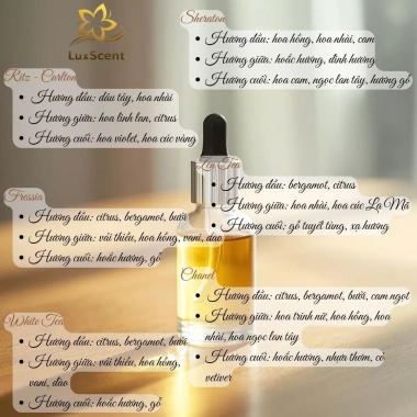 Tinh dầu thơm phòng khách sạn 6 mùi White Tea, Ritz Carlton, Zen Tea, Fressia, Chanel, Sheraton 500ml - 1.213.800đ