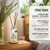 Tinh Dầu Thơm Phòng Pine Forest - Cắm Que Hương Gỗ, Giá Ưu Đãi 387.055₫ HENY GARDEN 5