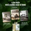 Tinh Dầu Thơm Phòng Pine Forest - Cắm Que Hương Gỗ, Giá Ưu Đãi 387.055₫ HENY GARDEN 9