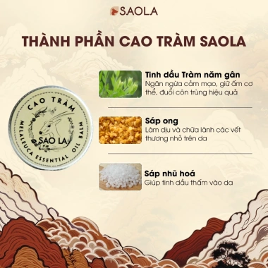 Tinh Dầu Tràm Huế Cao Ngăn Muỗi Đốt, Dịu Vết Đốt, Giảm Ngứa, Giúp Bé Ngủ Ngon - 88.000₫ 3