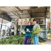 Tinh Dầu Tràm Huế Nguyên Chất 100ml VietGAP An Toàn Cho Mẹ Và Bé Sơ Sinh Giá Tốt 247500đ 8