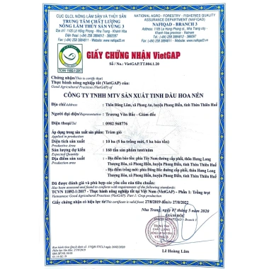 Tinh Dầu Tràm Huế Nguyên Chất 100ml VietGAP An Toàn Cho Mẹ Và Bé Sơ Sinh Giá Tốt 247500đ 9 Tinh Dầu Tràm Huế Nguyên Chất 100ml VietGAP An Toàn Cho Mẹ Và Bé Sơ Sinh Giá Tốt 247500đ 9