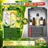 Tinh dầu tràm Huế nguyên chất Hoa Nén 100ml - Dầu tràm gió thiên nhiên nguyên chất 100% 5
