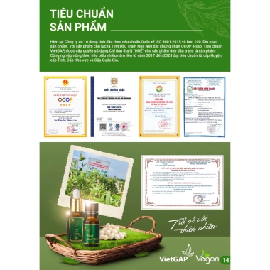 Tinh dầu tràm Huế nguyên chất Hoa Nén 100ml - Dầu tràm gió thiên nhiên nguyên chất 100% 9 Tinh dầu tràm Huế nguyên chất Hoa Nén 100ml - Dầu tràm gió thiên nhiên nguyên chất 100% 9