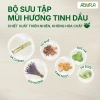 Tinh Dầu Treo Xe ABURA 10ml - Khử Mùi, Giảm Say Xe, Hương Thơm Tự Nhiên, 69.000đ 3