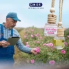 Tinh dầu treo xe ô tô hương thơm – Chống say, giảm căng thẳng khi lái xe – 125k 7
