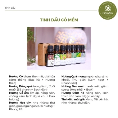 Tinh Dầu Xông Phòng Thiên Nhiên Cỏ Mềm 20ml - Hương Nhẹ, Khử Mùi Hiệu Quả, Giá chỉ 209.000₫ (Giảm từ 271.700₫) 3