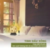 Tinh Dầu Xông Phòng Thiên Nhiên Cỏ Mềm 20ml - Hương Nhẹ, Khử Mùi Hiệu Quả, Giá chỉ 209.000₫ (Giảm từ 271.700₫) 6