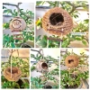 Tổ Chim cho chuột, sóc bay, yến & bò sát - Giá 35.000đ (giảm từ 43.050đ) 3