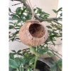 Tổ Chim cho chuột, sóc bay, yến & bò sát - Giá 35.000đ (giảm từ 43.050đ) 8