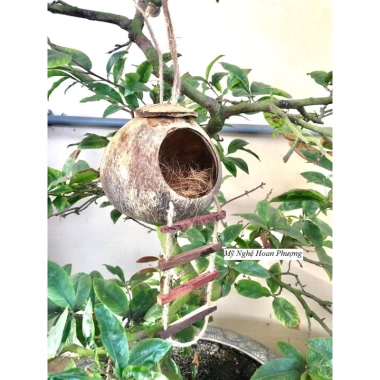 Tổ Chim cho chuột, sóc bay, yến & bò sát - Giá 35.000đ (giảm từ 43.050đ) 9