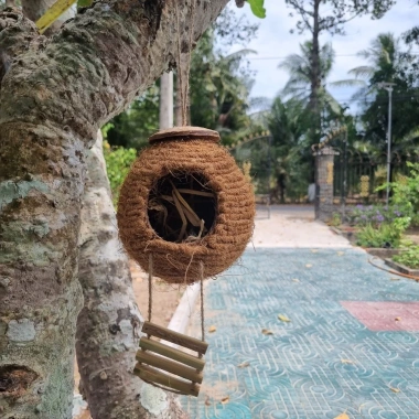Tổ chim gáo dừa chỉ trang trí chim, vẹt, sóc, chuột - kèm xơ dừa giữ ấm bé, giảm 50k