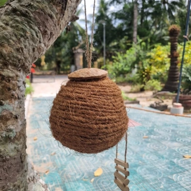 Tổ chim gáo dừa chỉ trang trí chim, vẹt, sóc, chuột - kèm xơ dừa giữ ấm bé, giảm 50k