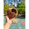 Tổ chim gáo dừa còn xơ có thang treo - Tặng xơ dừa, giá ưu đãi 27.000₫