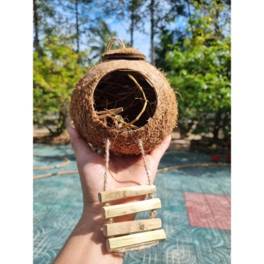 Tổ chim gáo dừa còn xơ có thang treo - Tặng xơ dừa, giá ưu đãi 27.000₫