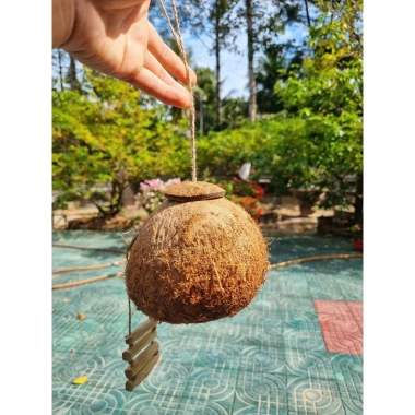 Tổ chim gáo dừa còn xơ có thang treo - Tặng xơ dừa, giá ưu đãi 27.000₫