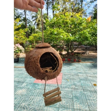 Tổ chim gáo dừa còn xơ có thang treo - Tặng xơ dừa, giá ưu đãi 27.000₫