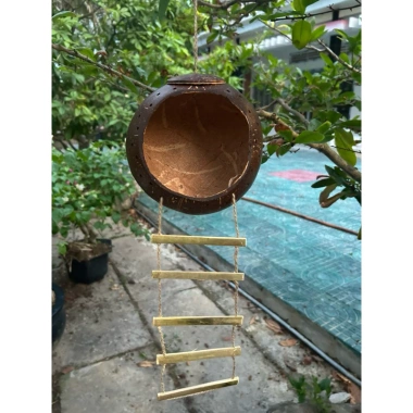 Tổ chim gáo dừa size đại cho cu gáy, khứu, chào mào, vẹt - kèm xơ dừa giữ ấm, chỉ 36.500₫
