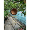 Tổ chim gáo dừa size đại cho cu gáy, khứu, chào mào, vẹt - kèm xơ dừa giữ ấm, chỉ 36.500₫ 2