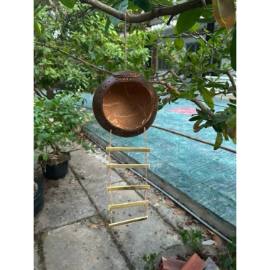Tổ chim gáo dừa size đại cho cu gáy, khứu, chào mào, vẹt - kèm xơ dừa giữ ấm, chỉ 36.500₫