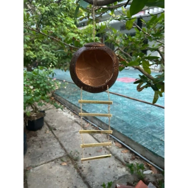Tổ chim gáo dừa size đại cho cu gáy, khứu, chào mào, vẹt - kèm xơ dừa giữ ấm, chỉ 36.500₫