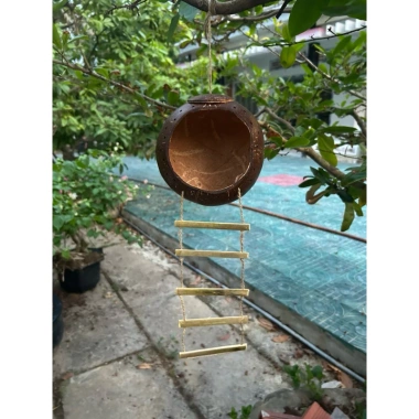 Tổ chim gáo dừa size đại cho cu gáy, khứu, chào mào, vẹt - kèm xơ dừa giữ ấm, chỉ 36.500₫