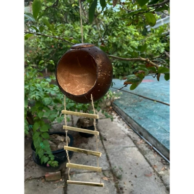Tổ chim gáo dừa size đại cho cu gáy, khứu, chào mào, vẹt - kèm xơ dừa giữ ấm, chỉ 36.500₫