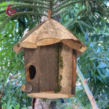 Tổ Chim Gỗ Mini Đau Khổ - Đồ Trang Trí Tự Nhiên Cho Cửa Sổ & Sân Vườn Giá Ưu Đãi 185.900 VND