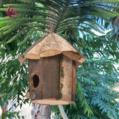 Tổ Chim Gỗ Mini Đau Khổ - Đồ Trang Trí Tự Nhiên Cho Cửa Sổ & Sân Vườn Giá Ưu Đãi 185.900 VND