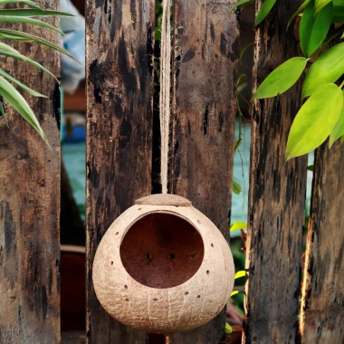 Tổ chim, sóc bay bằng gáo dừa mẫu chấm tròn quanh miệng - Giá ưu đãi 41.000đ