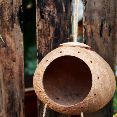 Tổ chim, sóc bay bằng gáo dừa mẫu chấm tròn quanh miệng - Giá ưu đãi 41.000đ