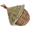 Tổ chim tự nhiên handmade trang trí avi - Đa mẫu sinh động, đẹp mắt, giá 25.000đ 2
