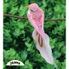 Tổ chim tự nhiên handmade trang trí avi - Đa mẫu sinh động, đẹp mắt, giá 25.000đ 3