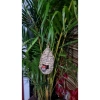 Tổ chim tự nhiên handmade trang trí avi - Đa mẫu sinh động, đẹp mắt, giá 25.000đ 5