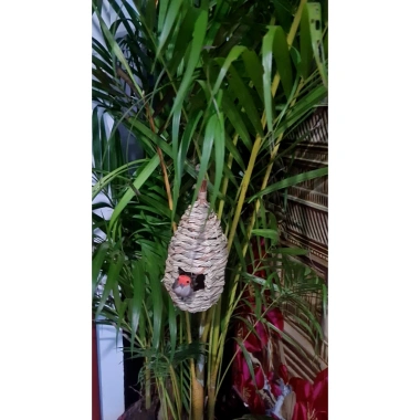 Tổ chim tự nhiên handmade trang trí avi - Đa mẫu sinh động, đẹp mắt, giá 25.000đ 5
