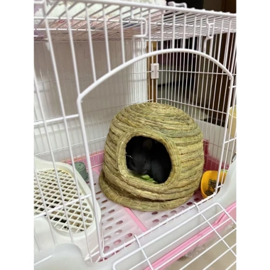 Tổ cỏ cho thỏ tự nhiên Đan tay – An toàn, Gặm được, Dùng quanh năm, Nhiều kích cỡ, Giá ưu đãi 179.497₫ 4
