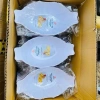 Tô dĩa nhựa sâu, lồng sâu bền, đựng gà, cún, trái cây - Giá giảm 55k, lễ Tết 3
