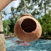 Tổ gáo dừa khoan quanh miệng trang trí – Tổ ngủ, ổ đẻ chim, bọ, sóc, giá 40.000đ 2