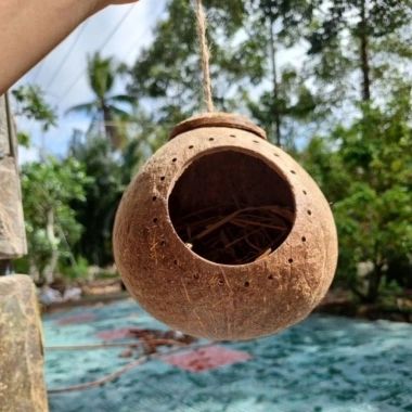 Tổ gáo dừa khoan quanh miệng trang trí – Tổ ngủ, ổ đẻ chim, bọ, sóc, giá 40.000đ